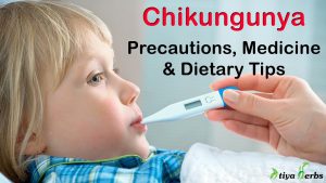 Chikungunya – Precautions, Medicine and Dietary Tips
