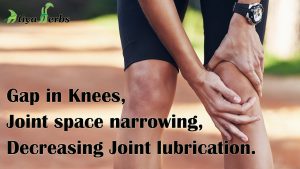 It is the best treatment for Gap in Knees, Joint space narrowing and decreasing Joint lubrication