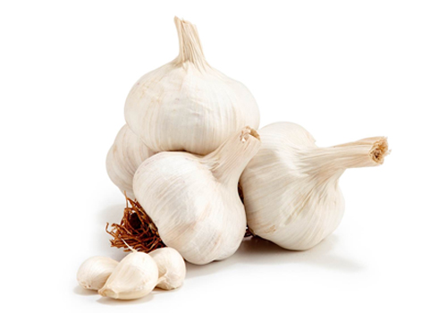 लहसुन - garlic
