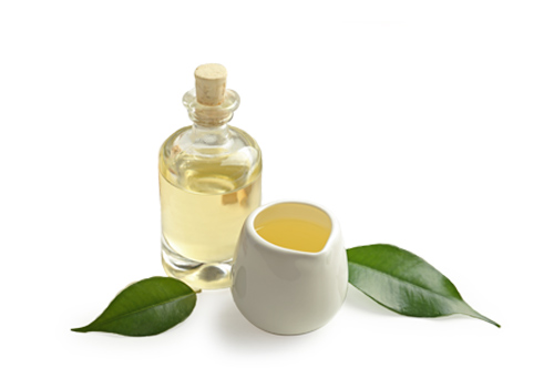 tree-tea-oil