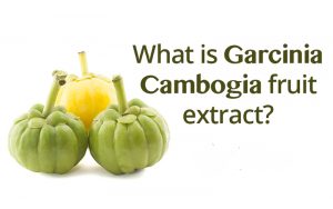 Garcinia Cambogia- Wondrous Herbal Solution for Fat loss