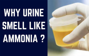 Is That Foul Smell in Urine Bothering you?
